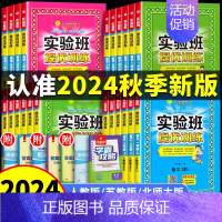 [人教版]语文 一年级上 [正版]2024实验班提优训练一二三年级四五六年级下册语文数学英语人教版苏教版北师大版外研版小