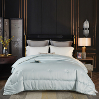 唐纳家纺 臻品60德绒冬被-雅绿 200×230cm/3000g- TN-SAQ21041