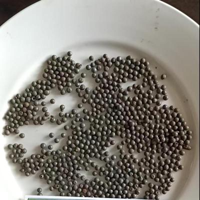 宏炜志腾 铸钢丸 0.8mm 千克