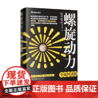 螺旋动力 全球经济篇 赛义德·道拉巴尼 著 经济