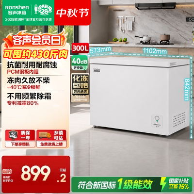 容声300升冰柜冷冻王-40℃深冷速冻一级变频冷藏冷冻转换减霜单温节能省电卧式冷柜BD/BC-300E10HNLBJ