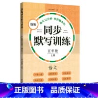 新编同步默写训练 5年级上册 [正版]小学一二三四五年级上下册新编同步默写训练看拼音写词语生字注音组词阅读理解语文识字卡