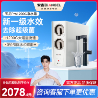 安吉尔净水器家用直饮厨房自来水过滤饮水机玉龙Pro1200G