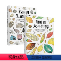 石头的生命故事+落叶的大千世界 [正版]浪花朵朵 盛口满系列新书:石头的生命故事+落叶的大千世界2册套装 7-10岁 石