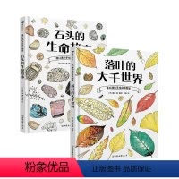 石头的生命故事+落叶的大千世界 [正版]浪花朵朵 盛口满系列新书:石头的生命故事+落叶的大千世界2册套装 7-10岁 石