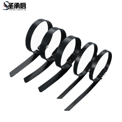 圣承启 金属扎带 5.6*350根