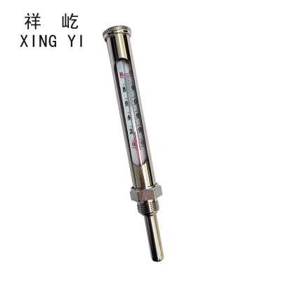 祥屹 金属套温度计 100度 个