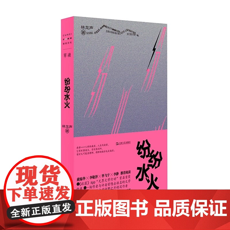 纷纷水火(单读新书036,时代在你身体里打仗,戴锦华、李敬泽、毕飞宇、李静阅读)单读系列林戈声短篇小说集上海文艺