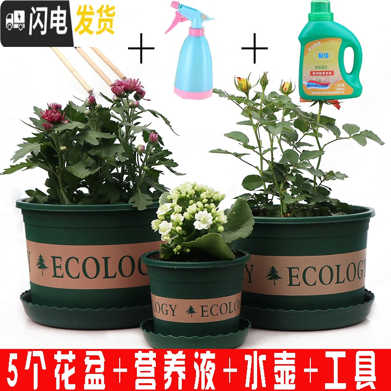 三维工匠塑料玫瑰盆栽花肉肉绿萝月季专用加伦树脂家用特大号超 [5个盆]+营养液+水壶+工具 矮胖1L(口径13.花盆容器