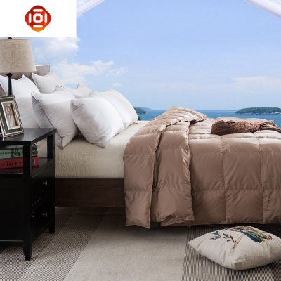 家纺夏凉被羽绒空调被90白鸭夏被水洗春秋旅行薄被学生被子三维工匠