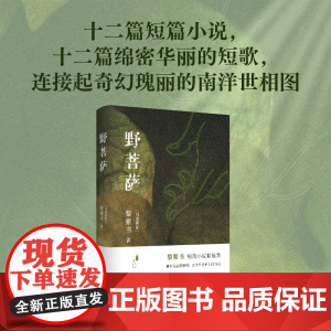 野菩萨 黎紫书 著 小说