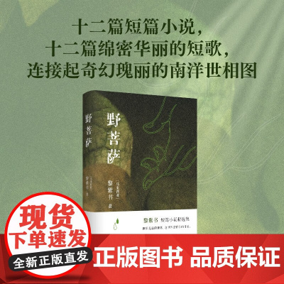 野菩萨 黎紫书 著 小说