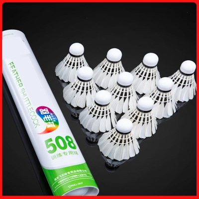  闪电客羽毛球套装12只装鹅毛室内外防风训练