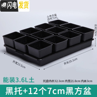 三维工匠控根多肉花盆套装组合塑料创意个性简约透气北欧风肉肉小盆器 黑托+12个黑盆(7cm盆) 中小花盆容器
