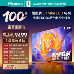 海信电视小墨100E5Q 100英寸 超画质U+Mini LED 288Hz高刷 DeepSeek 智能柔光防眩液晶电视