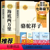 [人教版2册] 海底骆驼 赠考点 [正版]骆驼祥子原著必读老舍七年级下册人民教育出版社老师初中生版七下初一课外阅读书籍名