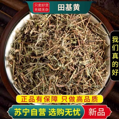 甄选田基黄100克干货正品新货干地耳草黄花草雀舌草正品整株田基王干品