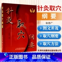 [正版] 针灸取穴纲要 天津科技翻译出版公司 耿恩广