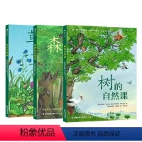 3册套装 [正版]浪花朵朵 草/树/森林的自然课 3册套装 6岁以上少儿科普图画书 植物百科树木科普 童书