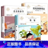 [3册]六年级课外阅读 [正版]北京的春节+阳光的两种用法+匆匆书 六年级下册必读的课外书老师经典书目全套老舍朱自清肖复