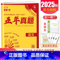 [正版]2024理想树 高考必刷卷五年真题语文 2020-2024真题卷汇编 新高考版通用版 高中生高考语文一二轮必刷题