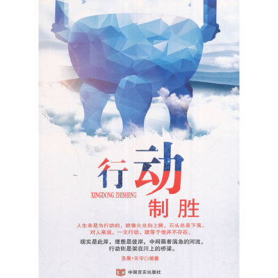 正版新书]行动制胜浩晨·天宇9787517122104