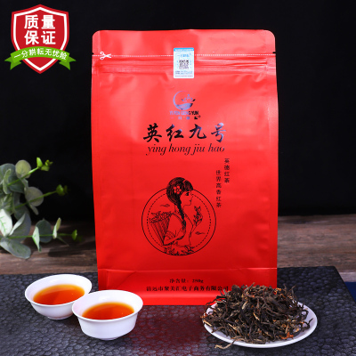 一分耕耘 英德红茶 家庭办公装 正品英红九号 红茶功夫茶 袋装 中国茗茶英红九号250g