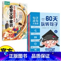 60天玩转句子+文学常识 小学通用 [正版]套装5册 60天玩转句子 小学生句子专项训练仿写句子病句修改优美句子积累字词