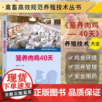 笼养肉鸡40天 畜禽规范养殖丛书养鸡大全鸡病防治及安全用药鸡病快速诊断防治技术鸡养殖书籍鸡养殖教程大全蛋鸡肉鸡高效养殖配