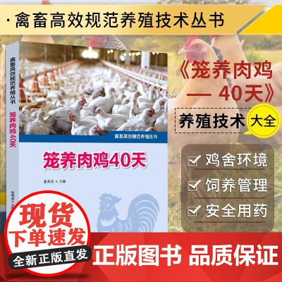 笼养肉鸡40天 畜禽规范养殖丛书养鸡大全鸡病防治及安全用药鸡病快速诊断防治技术鸡养殖书籍鸡养殖教程大全蛋鸡肉鸡高效养殖配