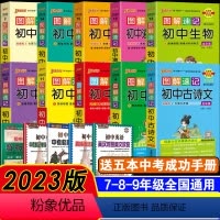 十本套装 初中通用 [正版]送2样实物pass绿卡图书2023新版图解速记初中英语同步词汇RJ人教版七八九年级通用初中中