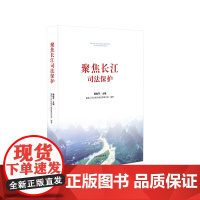 正版 聚焦长江司法保护 杨临萍 最高人民法院环境资源审判庭 人民法院出版社