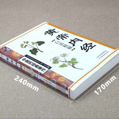 黄帝内经白话精解