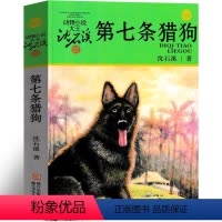 第七条猎狗 [正版]第七条猎狗 沈石溪动物小说精品集系列儿童文学小学生课外书长篇单本作品全集珍藏版品藏书系大王升级版三四