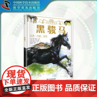 出版社自营]DK彩绘经典名著—黑骏马 各种有趣的知识与享誉世界的名著碰撞在一起来一场足不出户的海外游学 世界文学 正版书