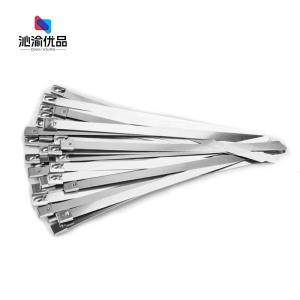 沁渝优品 不锈钢扎带 10*800mm 根