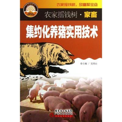 正版新书]集约化养猪实用技术吴同山9787535962843