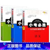 3本 语文+数学+英语 小学升初中 [正版]2025小考必胜小升初压轴题详解语文数学英语全套3册小学毕业升学总复习资料书