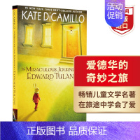 爱德华的奇妙之旅 [正版]Holes 洞 别有洞天 英文原版 路易斯萨奇尔 当代儿童文学名著 搭Wonder奇迹男孩 小