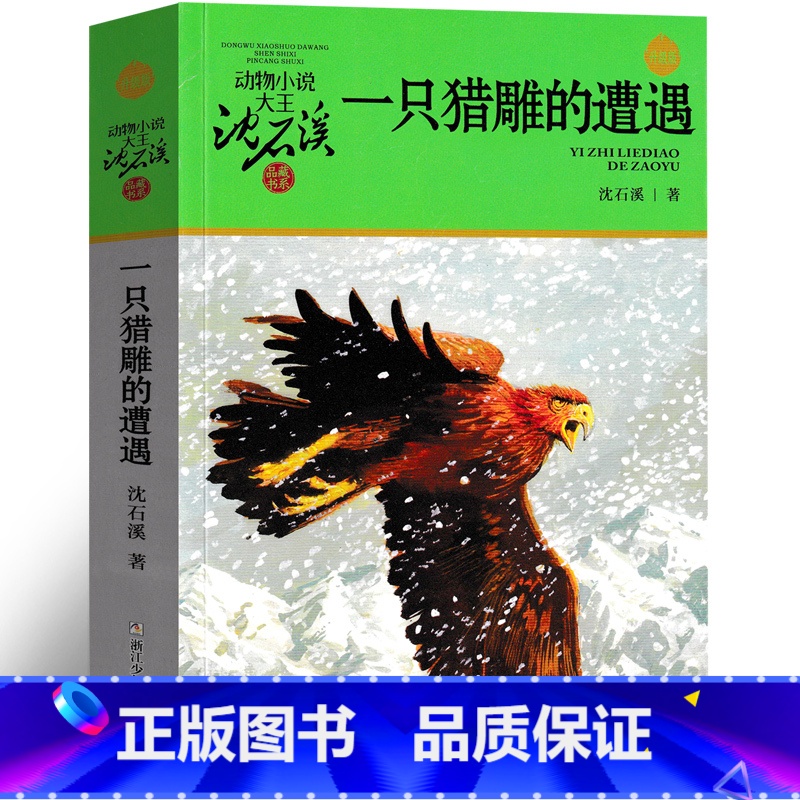 一只猎雕的遭遇 [正版]一只猎雕的遭遇 沈石溪动物小说精品集系列儿童文学小学生课外书长篇单本作品全集珍藏版品藏书系大王三
