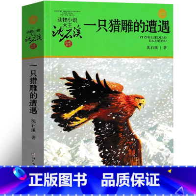 一只猎雕的遭遇 [正版]一只猎雕的遭遇 沈石溪动物小说精品集系列儿童文学小学生课外书长篇单本作品全集珍藏版品藏书系大王三