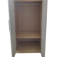 东业家具 木质柜两门衣柜DY-24G(900*550*2000)组