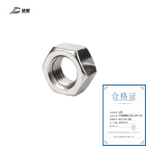 达昭 不锈钢螺母 200个 M16 304 本色