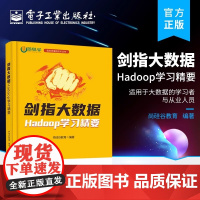 剑指大数据 Hadoop学习精要 正版书籍 店 电子工业出版社