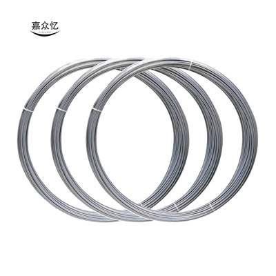 嘉众忆 优质镀锌铁丝2.8mm JZY-JZ277 千克