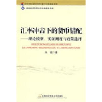 正版新书]汇率冲击下的货币错配——理论模型、实证侧度与政策选