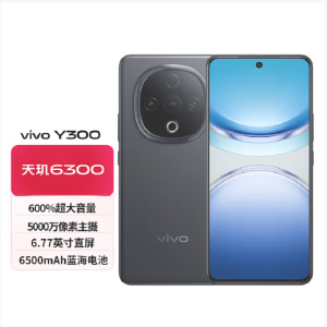 vivo Y300 星钻黑 12GB+256GB 天玑6300 5G芯 6500mAh电池 44W充电 5000万高清影像 5G 手机