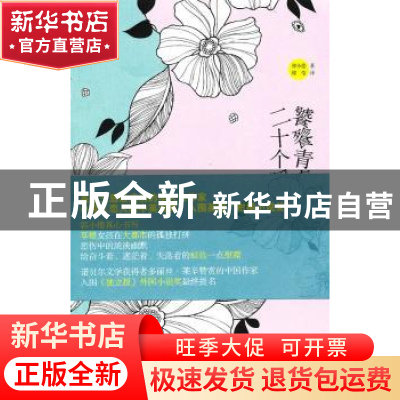 正版 饕餮青春的二十个瞬间 郭小橹 新星出版社 978751