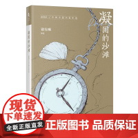 凝固的沙滩:2022中国中篇小说年选 花城年选系列 谢有顺编选 花城出版社正版书籍