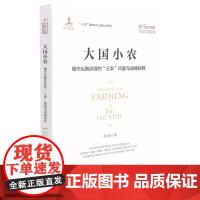 大国小农(现代化新征程的三农问题与战略抉择)/大国大转型